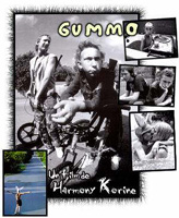 Speciale su Harmony Korine parte II