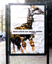 Campagna Noah