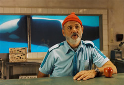 Steve Zissou, <i>Le avventure acquatiche</i>” />delle relazioni. <strong>È, prima di tutto, un luogo. Uno spazio scenico, finto e vero, manipolato e genuino, nel quale i personaggi trovano la propria dimensione fisica</strong>. Dalla villa dei Tenenbaum, alla nave del team Zissou, fino al treno Darjeeling, i luoghi nel cinema di Anderson prima esistono e un attimo dopo non esistono più. Così come le pareti, le mura, le porte, le finestre, gli oblò, i vagoni, i bauli. Tutto è inaccessibile e poi tutto è aperto.<br />
Sono luoghi forse metaforici che rincorrono il senso del gioco, lo stupore dell’immaginazione ludica, la simpatia per l’invenzione e l’improvvisazione (il teatro è per questo una magnifica ossessione: basti pensare a Max Fisher in <em>Rushmore</em>, al ruolo di Margot Tenenbaum, drammaturga anoressica di spessore mondiale, e al fatto che <em>]<A href=